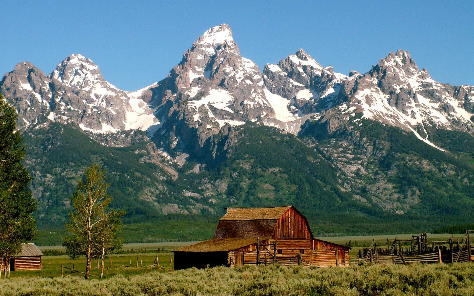 Grand Teton Limited Edition Pen