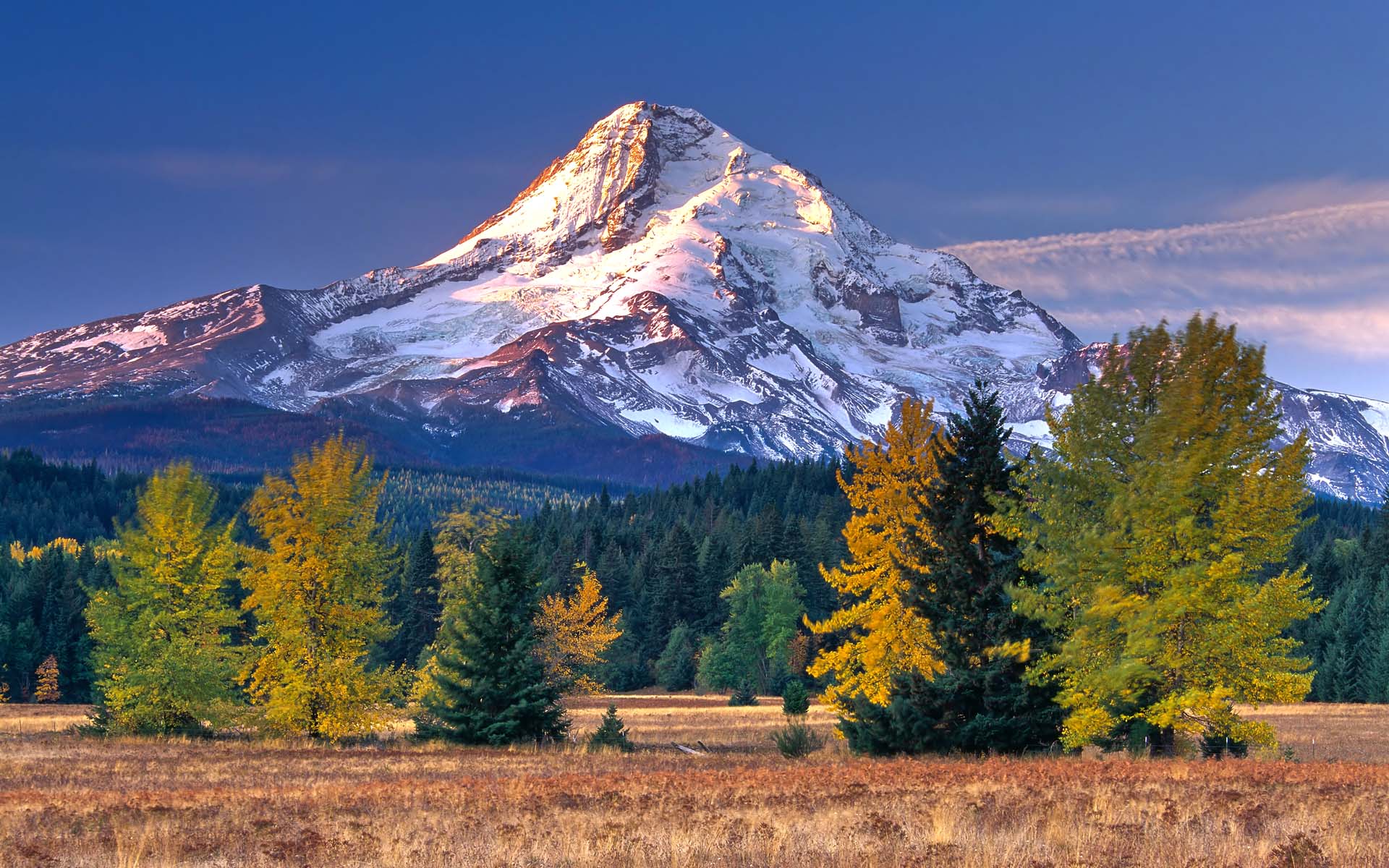 Mt. Hood Limited Edition Pen