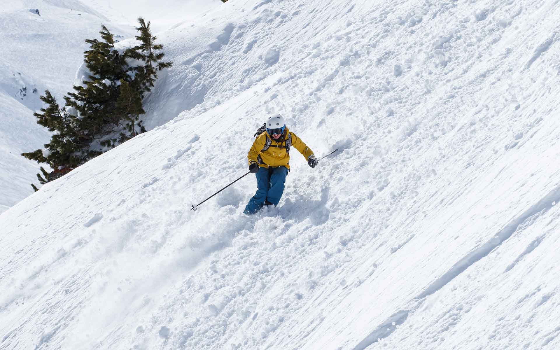 Limited Edition Ski Pen
