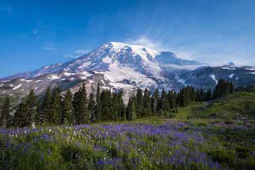 Mount Rainier